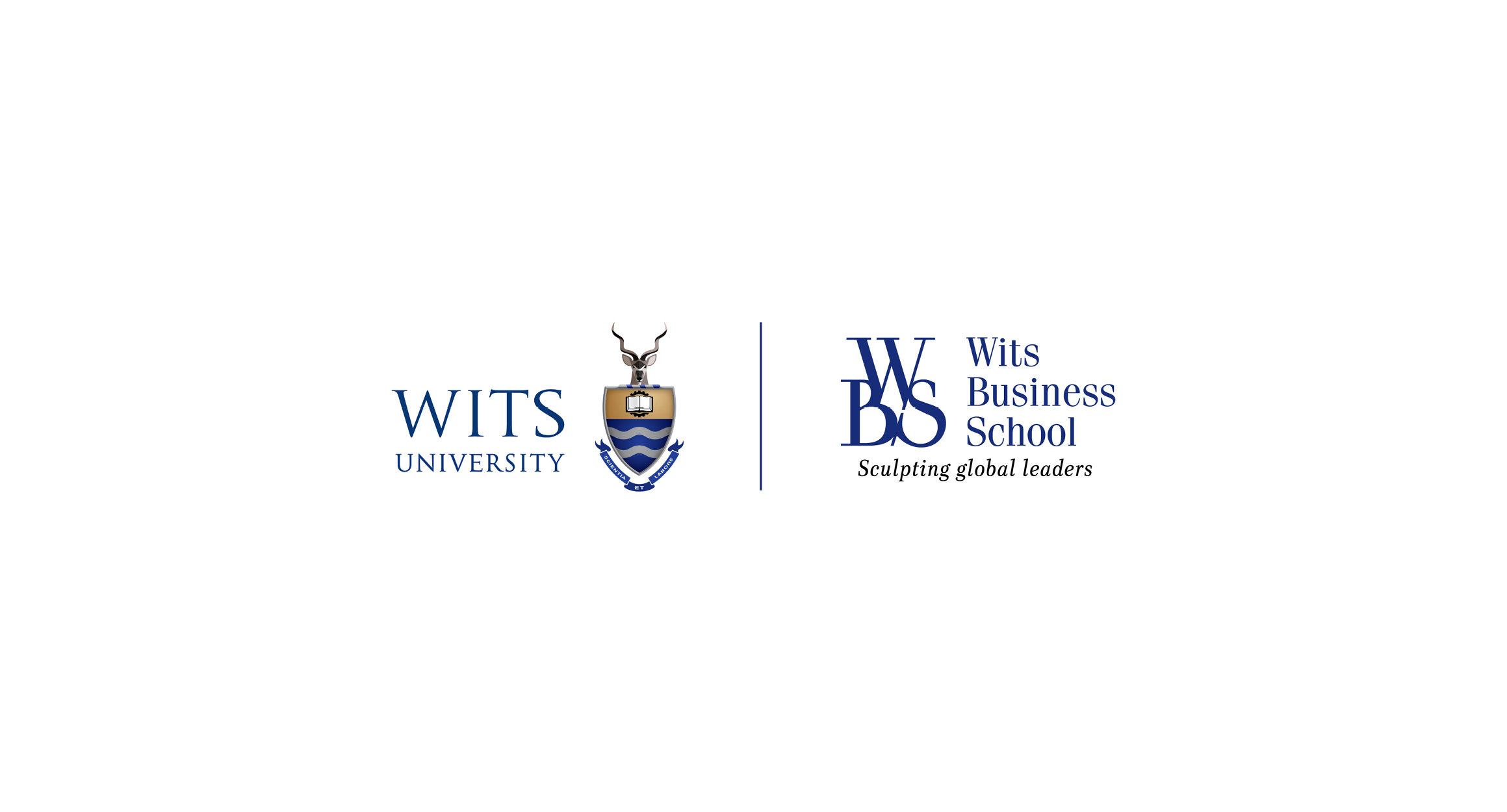 Wits Business School Logo
