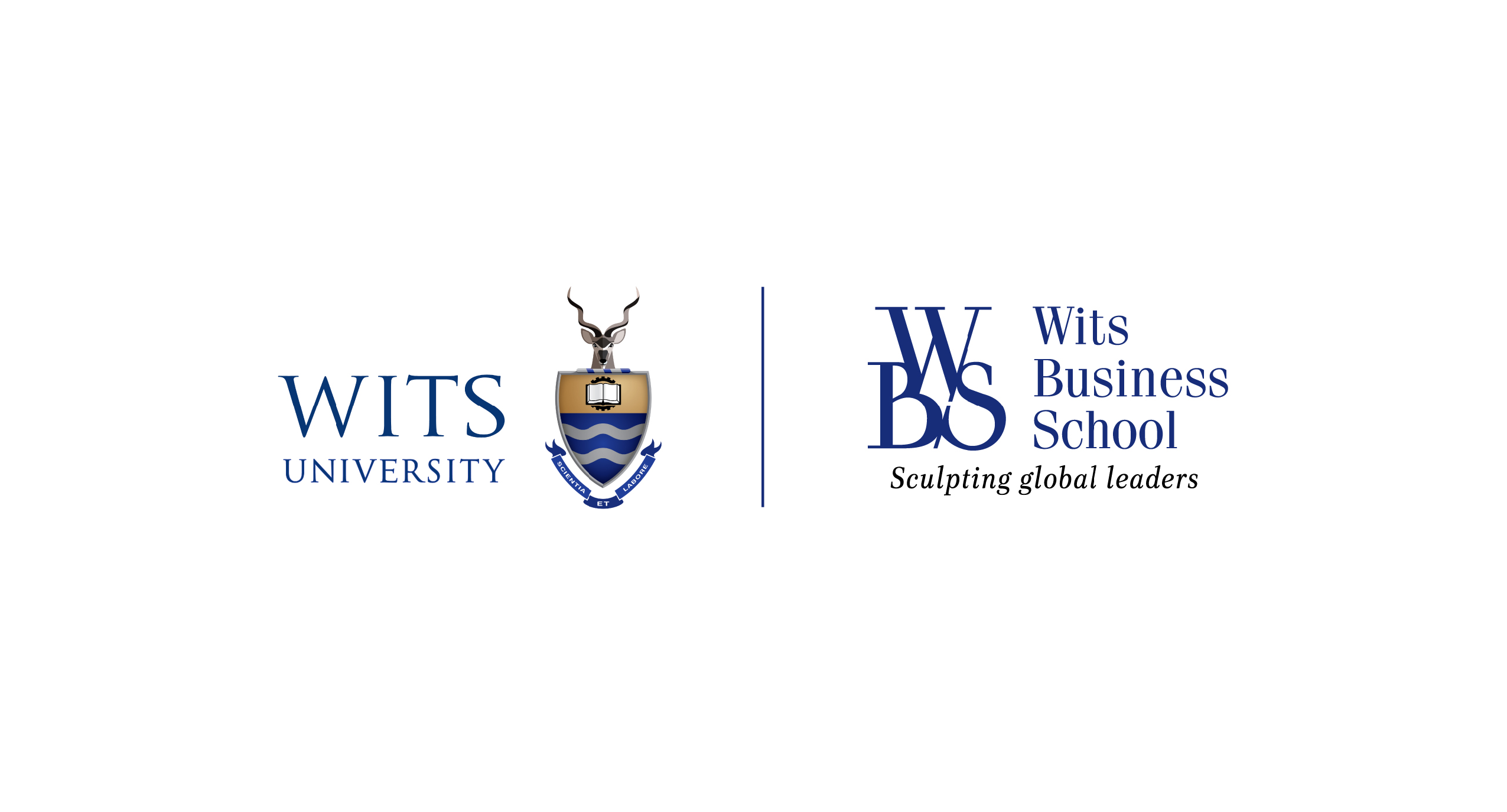Wits Business School Logo