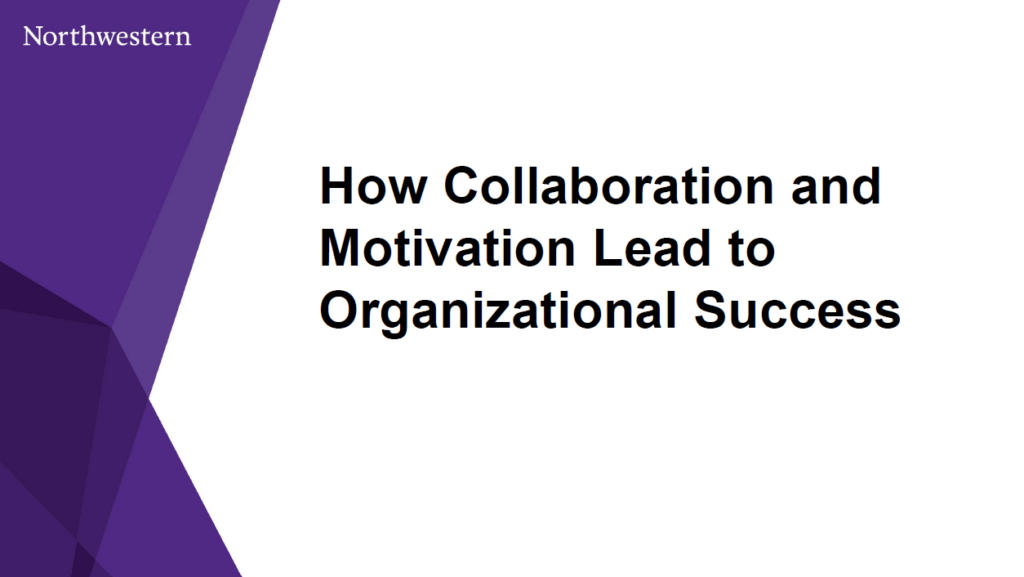 International Perspectives on Career Services: How Collaboration and Motivation Lead to Organizational Success
